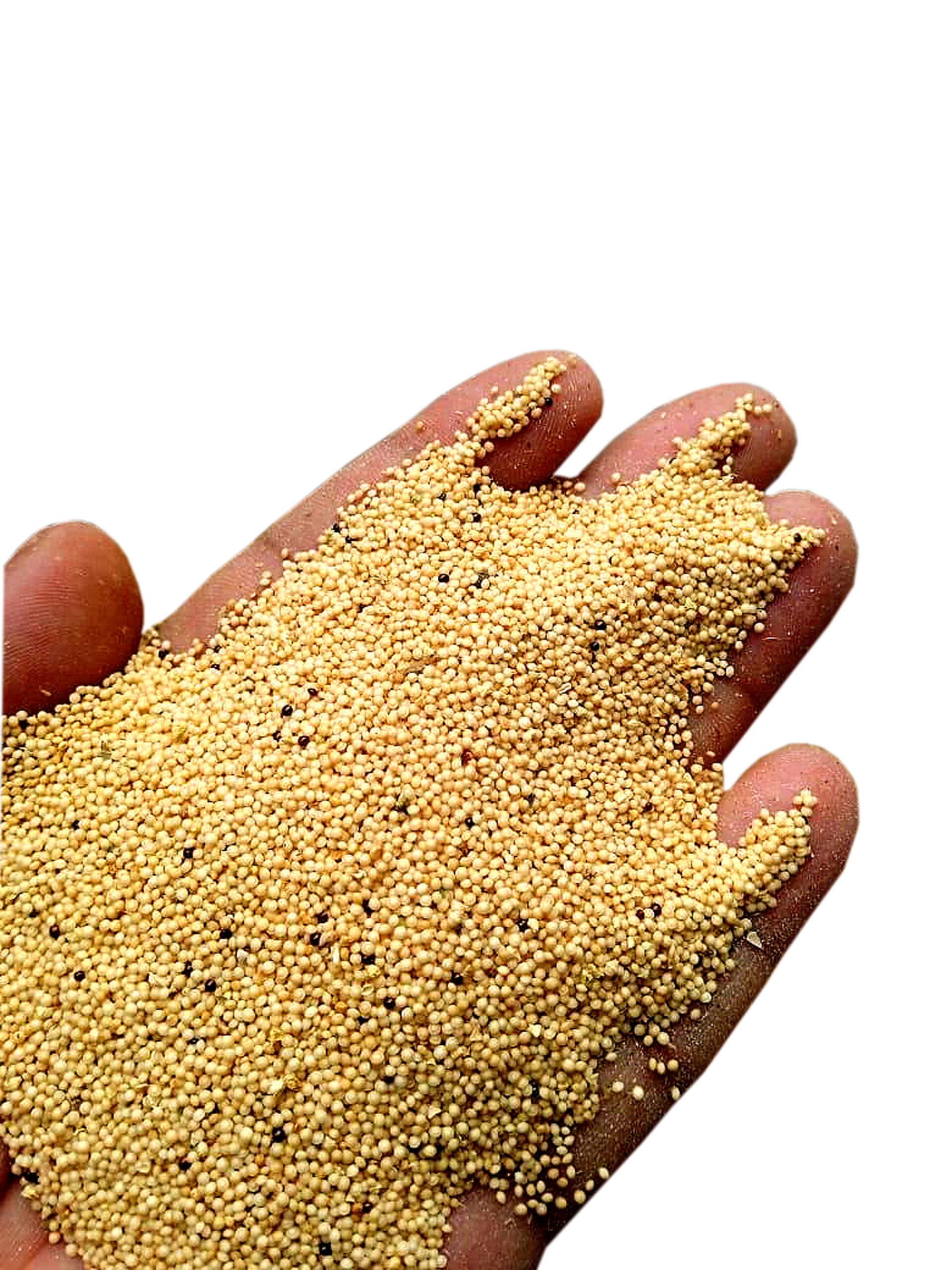 Amaranth Millet